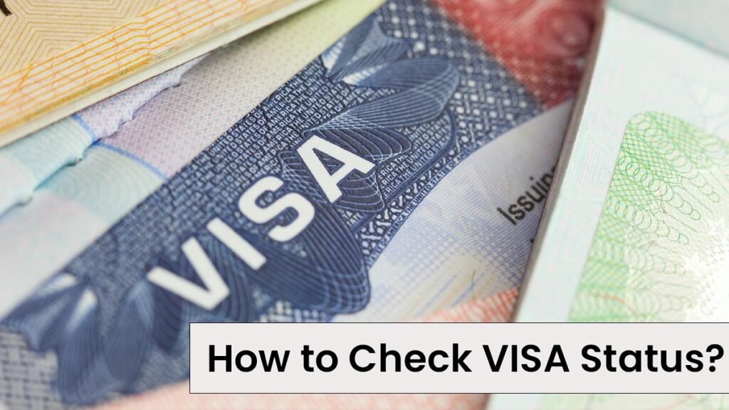 how to check visa status