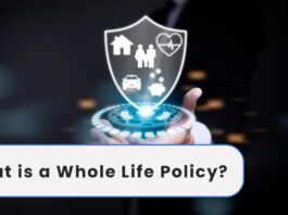 What is a Whole Life Policy