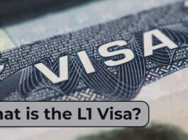 What is the L1 Visa