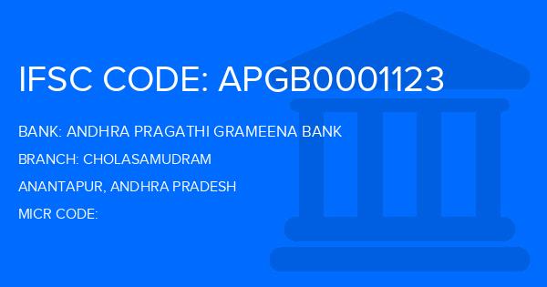 Andhra Pragathi Grameena Bank (APGB) Cholasamudram Branch IFSC Code