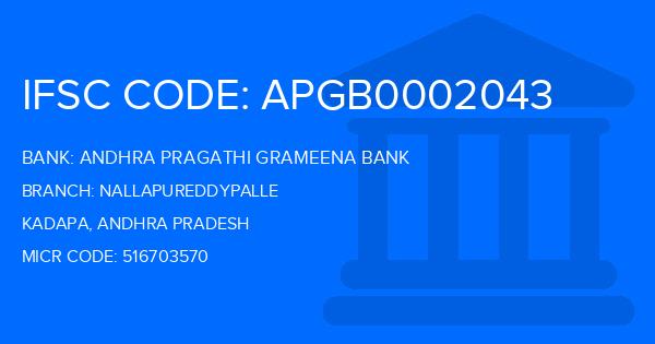Andhra Pragathi Grameena Bank (APGB) Nallapureddypalle Branch IFSC Code