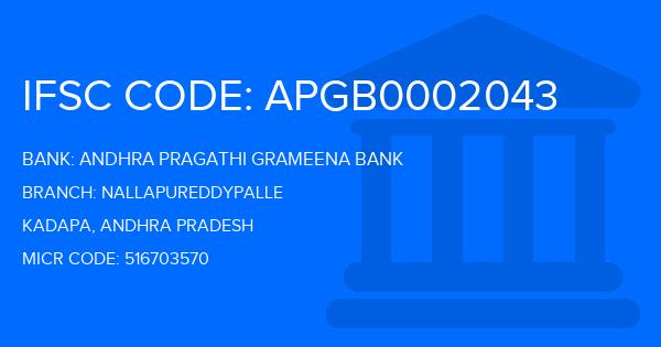 Andhra Pragathi Grameena Bank (APGB) Nallapureddypalle Branch IFSC Code