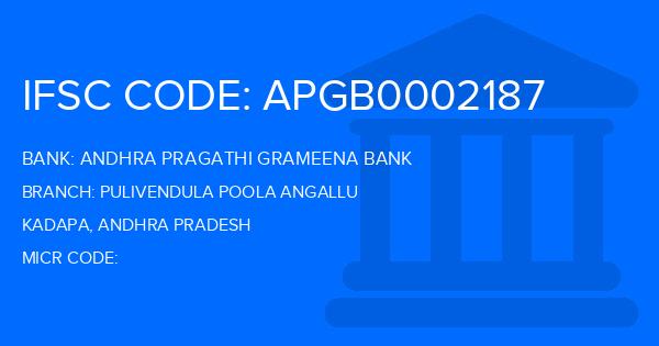 Andhra Pragathi Grameena Bank (APGB) Pulivendula Poola Angallu Branch IFSC Code