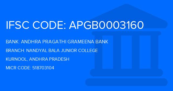 Andhra Pragathi Grameena Bank (APGB) Nandyal Bala Junior College Branch IFSC Code