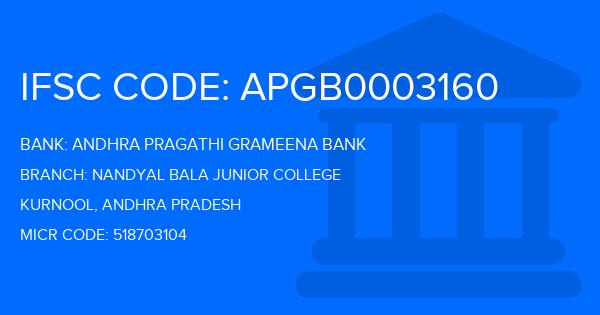 Andhra Pragathi Grameena Bank (APGB) Nandyal Bala Junior College Branch IFSC Code