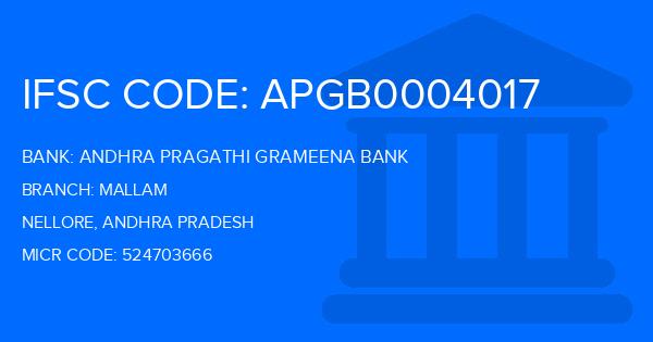Andhra Pragathi Grameena Bank (APGB) Mallam Branch IFSC Code