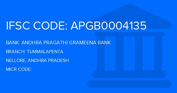 Andhra Pragathi Grameena Bank (APGB) Tummalapenta Branch IFSC Code
