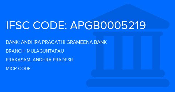 Andhra Pragathi Grameena Bank (APGB) Mulaguntapau Branch IFSC Code