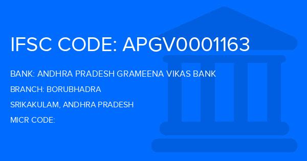 Andhra Pradesh Grameena Vikas Bank (APGVB) Borubhadra Branch IFSC Code