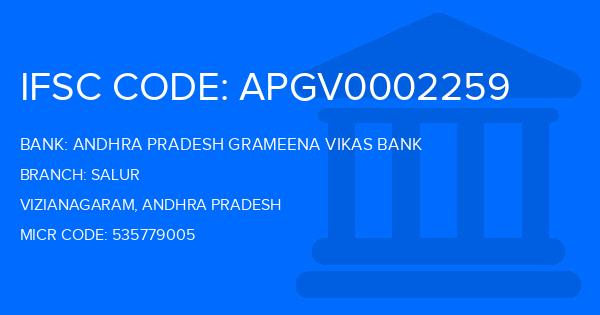 Andhra Pradesh Grameena Vikas Bank (APGVB) Salur Branch IFSC Code