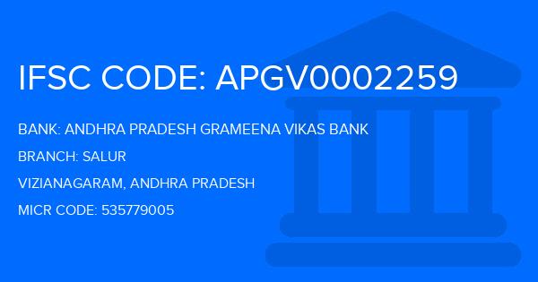 Andhra Pradesh Grameena Vikas Bank (APGVB) Salur Branch IFSC Code