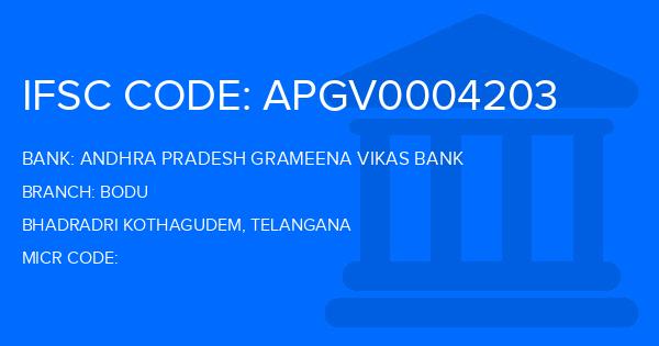 Andhra Pradesh Grameena Vikas Bank (APGVB) Bodu Branch IFSC Code
