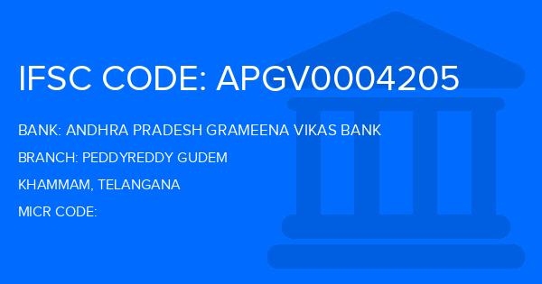 Andhra Pradesh Grameena Vikas Bank (APGVB) Peddyreddy Gudem Branch IFSC Code