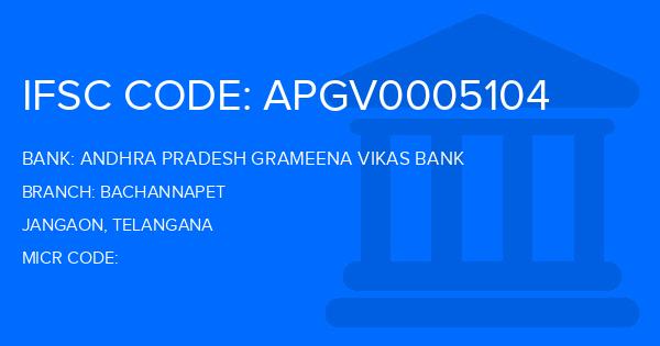 Andhra Pradesh Grameena Vikas Bank (APGVB) Bachannapet Branch IFSC Code
