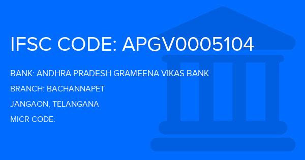 Andhra Pradesh Grameena Vikas Bank (APGVB) Bachannapet Branch IFSC Code