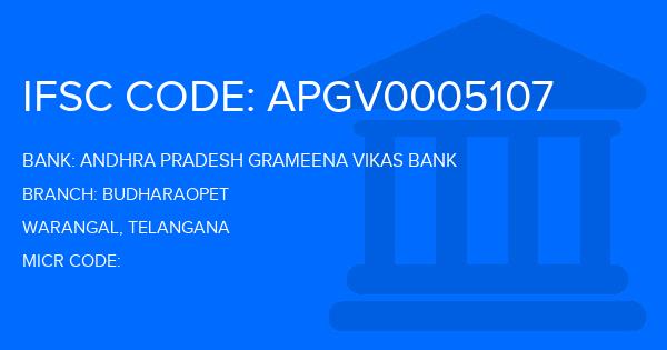 Andhra Pradesh Grameena Vikas Bank (APGVB) Budharaopet Branch IFSC Code