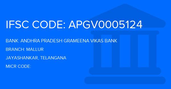 Andhra Pradesh Grameena Vikas Bank (APGVB) Mallur Branch IFSC Code