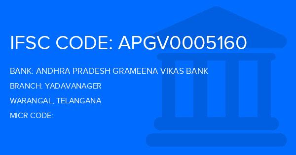 Andhra Pradesh Grameena Vikas Bank (APGVB) Yadavanager Branch IFSC Code