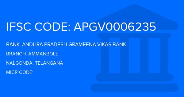 Andhra Pradesh Grameena Vikas Bank (APGVB) Ammanbole Branch IFSC Code