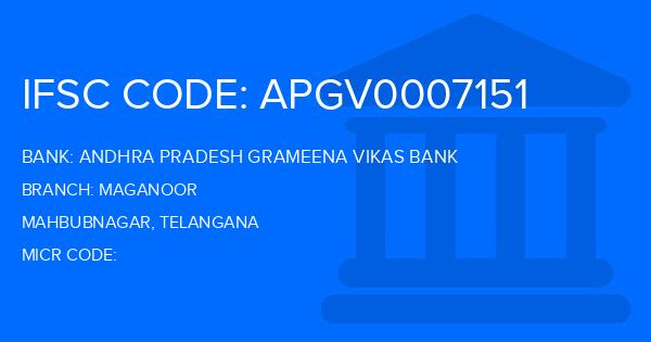Andhra Pradesh Grameena Vikas Bank (APGVB) Maganoor Branch IFSC Code