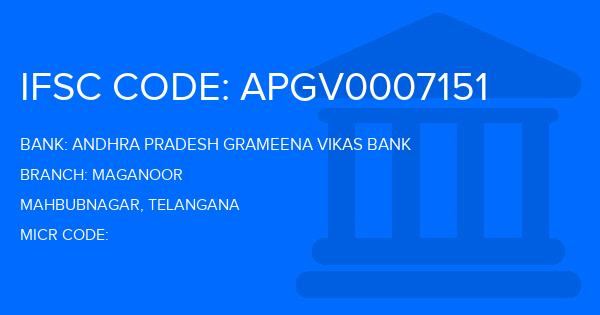 Andhra Pradesh Grameena Vikas Bank (APGVB) Maganoor Branch IFSC Code