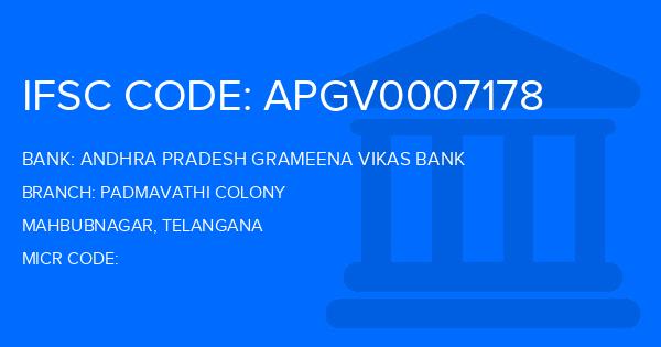 Andhra Pradesh Grameena Vikas Bank (APGVB) Padmavathi Colony Branch IFSC Code