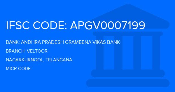 Andhra Pradesh Grameena Vikas Bank (APGVB) Veltoor Branch IFSC Code