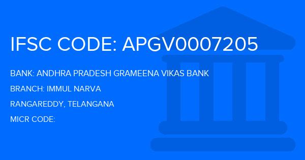 Andhra Pradesh Grameena Vikas Bank (APGVB) Immul Narva Branch IFSC Code