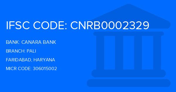 Canara Bank Pali Branch IFSC Code
