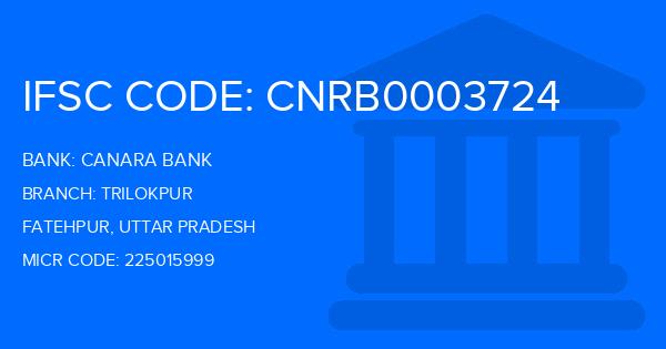 Canara Bank Trilokpur Branch IFSC Code
