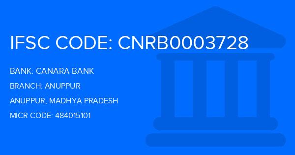 Canara Bank Anuppur Branch IFSC Code