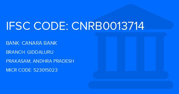 Canara Bank Giddaluru Branch IFSC Code
