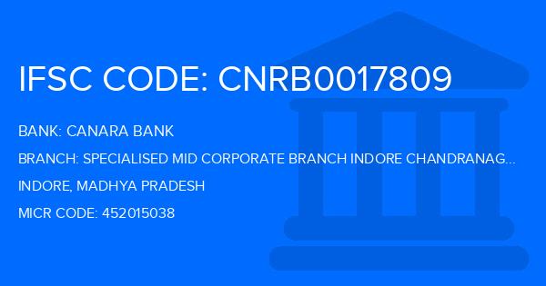Canara Bank Specialised Mid Corporate Branch Indore Chandranagar Branch IFSC Code