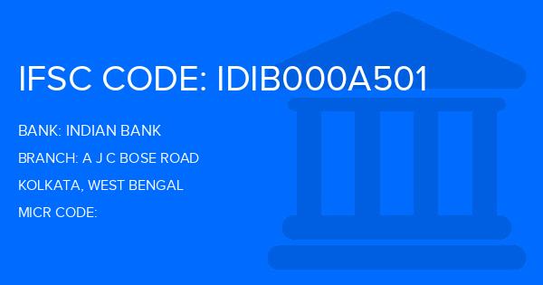 Indian Bank A J C Bose Road Branch IFSC Code