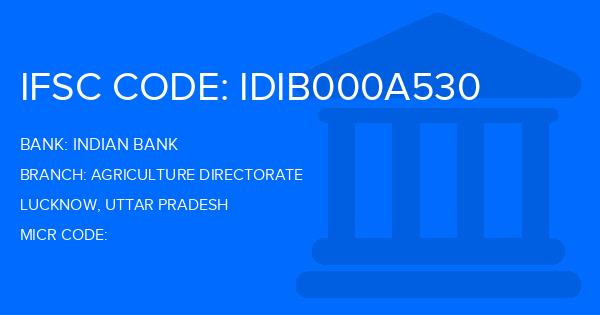 Indian Bank Agriculture Directorate Branch IFSC Code
