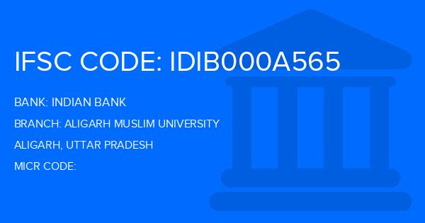 Indian Bank Aligarh Muslim University Branch IFSC Code