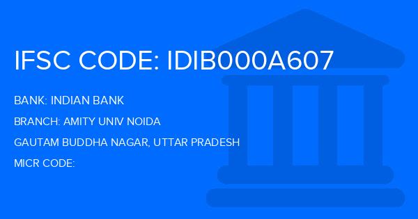 Indian Bank Amity Univ Noida Branch IFSC Code