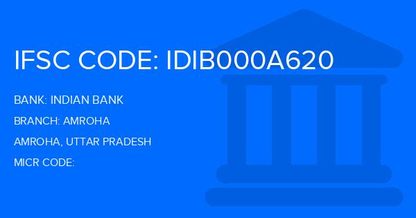 Indian Bank Amroha Branch IFSC Code