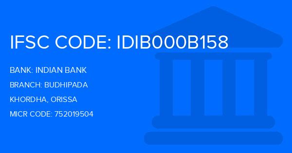 Indian Bank Budhipada Branch IFSC Code