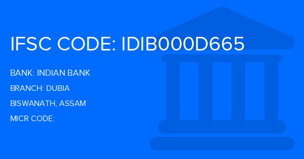 Indian Bank Dubia Branch IFSC Code