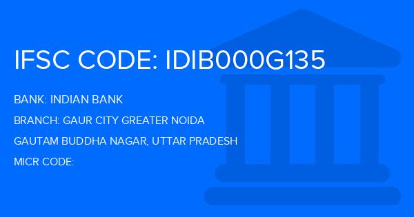 Indian Bank Gaur City Greater Noida Branch IFSC Code