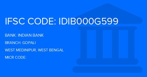 Indian Bank Gopali Branch IFSC Code