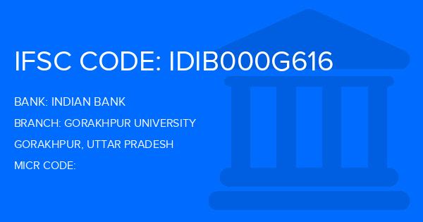 Indian Bank Gorakhpur University Branch IFSC Code