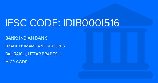 Indian Bank Imamganj Sheopur Branch IFSC Code
