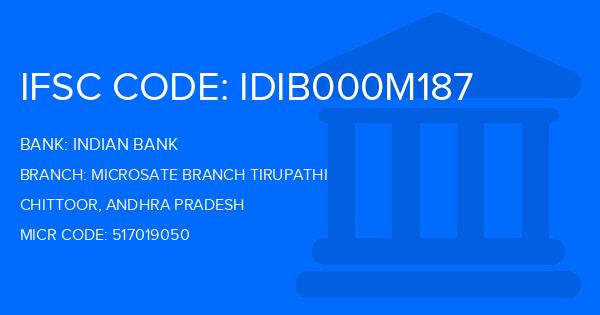 Indian Bank Microsate Branch Tirupathi Branch IFSC Code