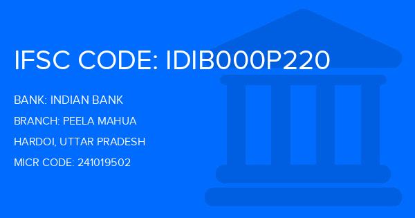 Indian Bank Peela Mahua Branch IFSC Code