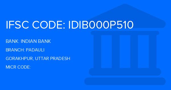 Indian Bank Padauli Branch IFSC Code