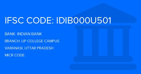 Indian Bank Up College Campus Branch IFSC Code