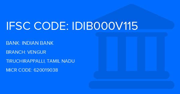 Indian Bank Vengur Branch IFSC Code