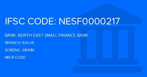 North East Small Finance Bank Kaluk Branch IFSC Code